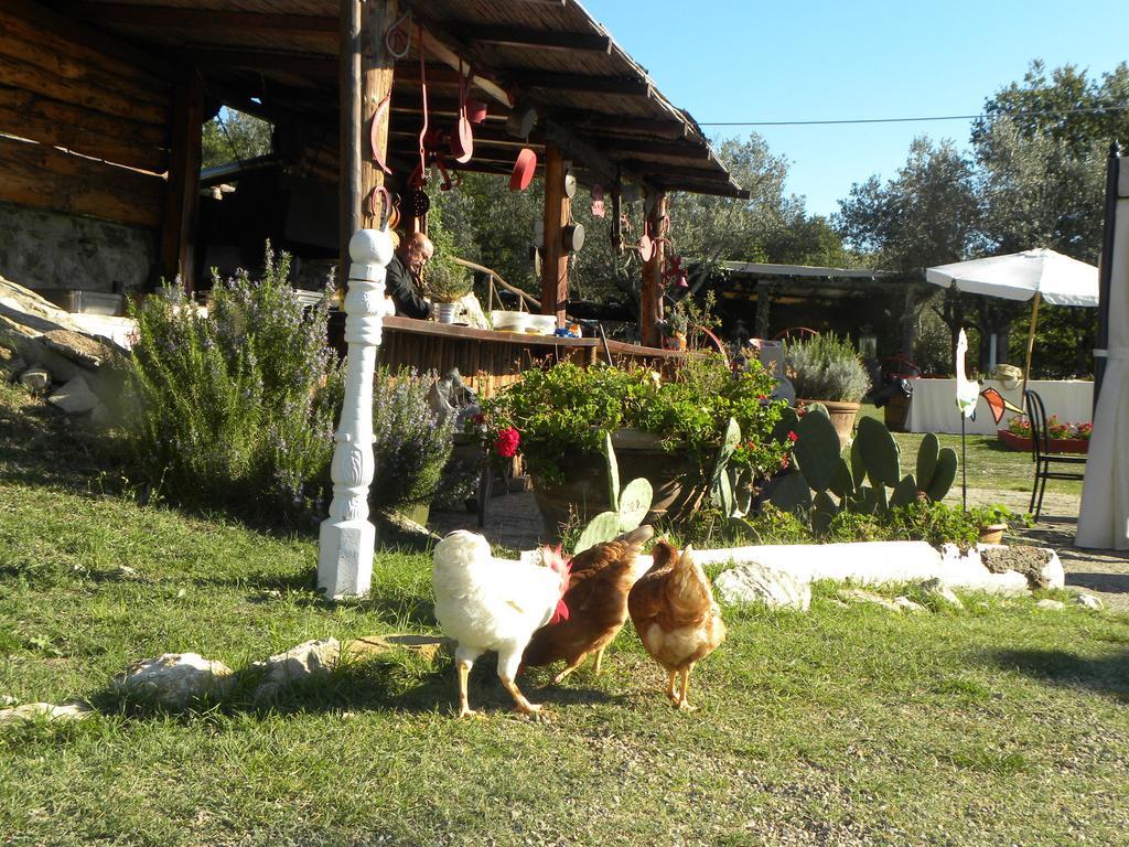 Country Resort Il Frassine Rignano Sull Arno Exterior photo