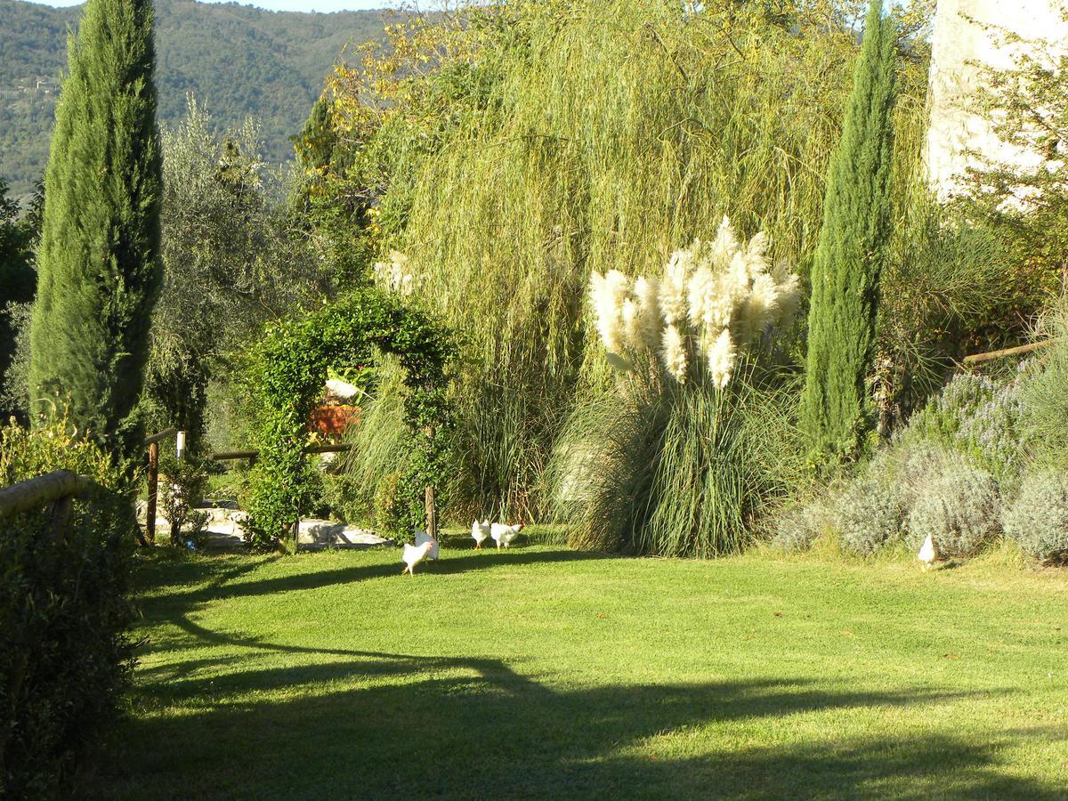 Country Resort Il Frassine Rignano Sull Arno Exterior photo